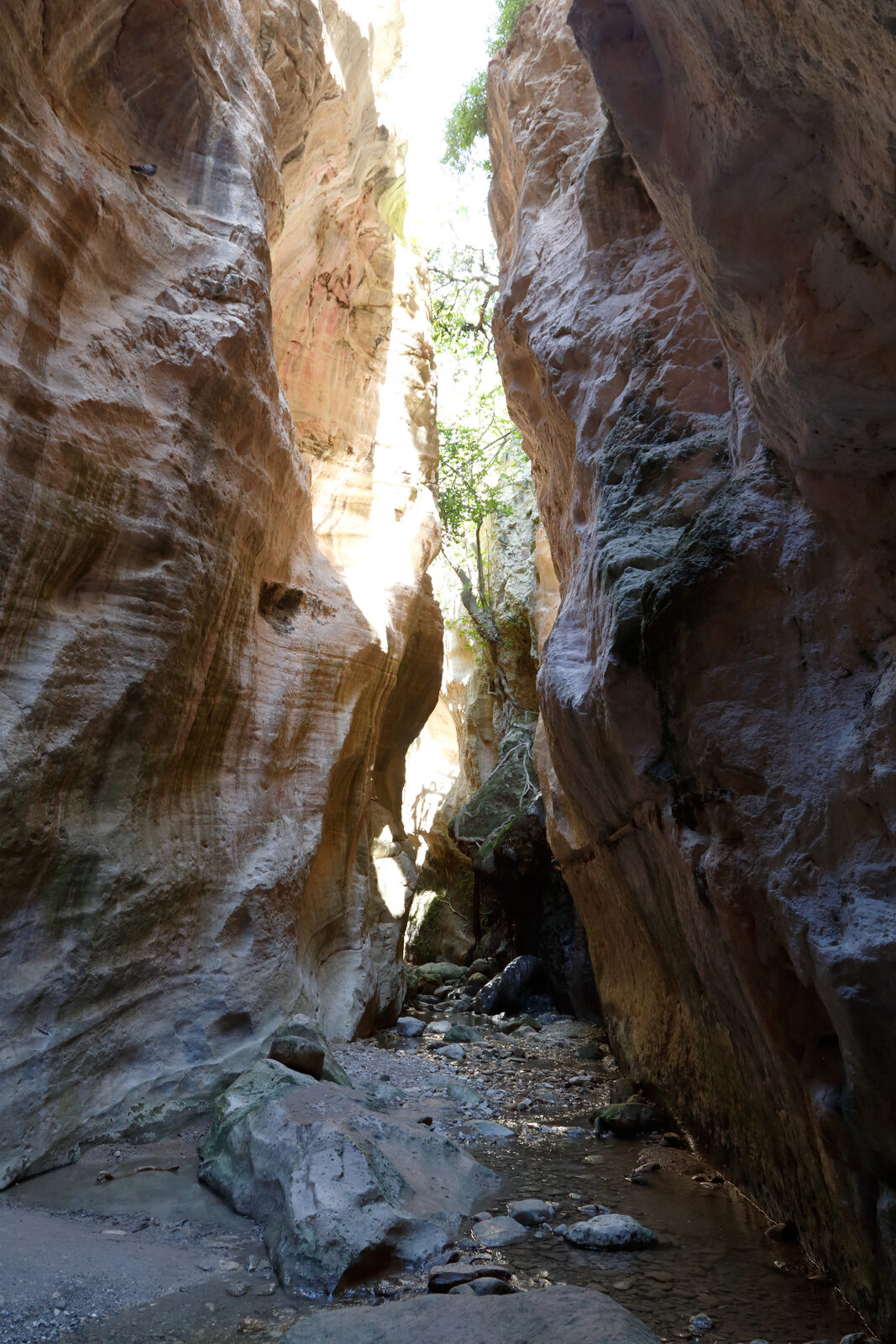 Inside Avakas Gorge, Akamas